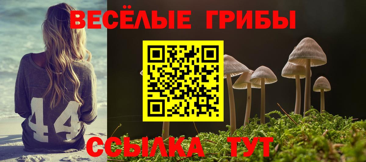 Тосно  Псилоцибиновые грибы Magic Shrooms  Вход с VPN 